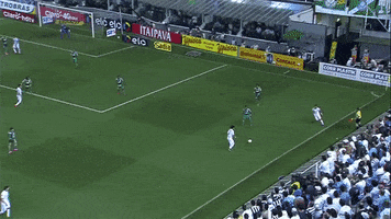 luizvendraminandreassa  GIF