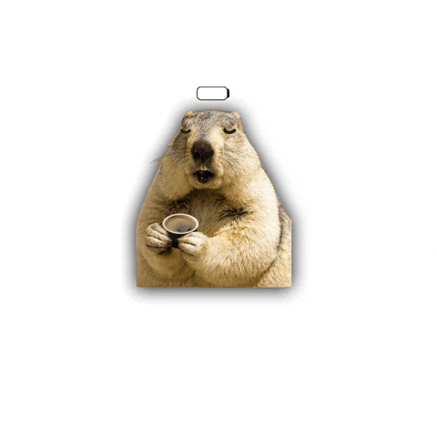 Coffee GIF