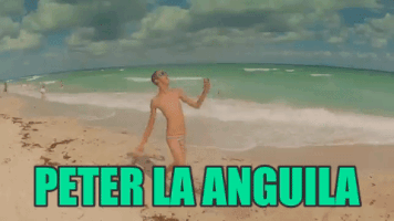 actavioperezcosta peter la anguila GIF