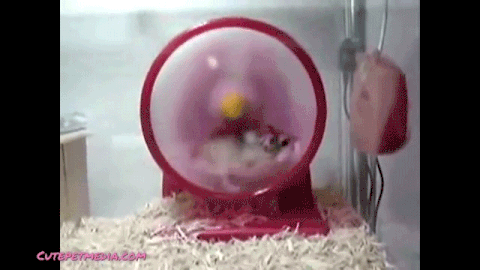 compilation