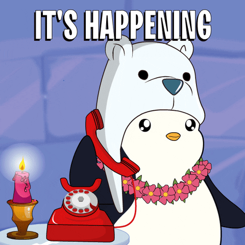 Its Time Omg GIF by Pudgy Penguins