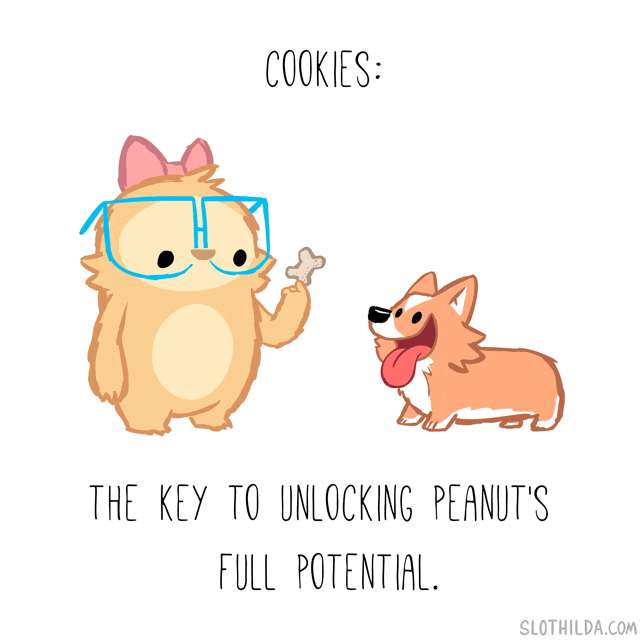 GIFs Get the best GIF on GIPHY