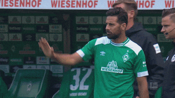 happy bundesliga GIF by SV Werder Bremen