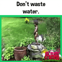 Waste Not Want Not Water Day GIF by You've Been Framed!