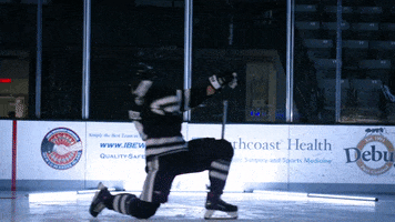 hockey skate GIF by Providence Friars