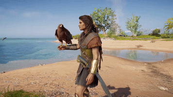 bird sea GIF by Assassin's Creed