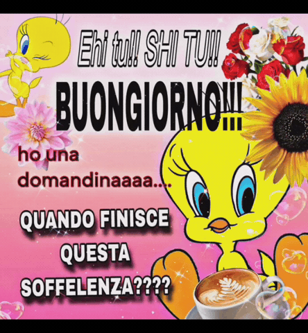 Tweety Stanco GIF