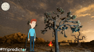 predicting i know you GIF by tripredictor