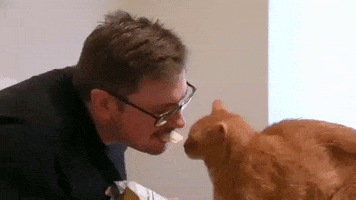 cats love GIF by TLC Europe
