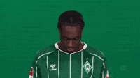 bundesliga-werder-bremen-sv-die-werderaner-5hq78qH5u8puKhgH51