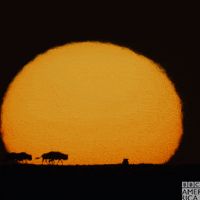 sunset sahara GIF by BBC America