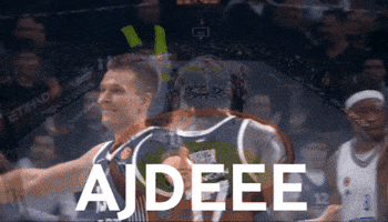 Celebration Hype GIF by Basketball Club Partizan