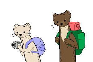 Zoukuny Sticker