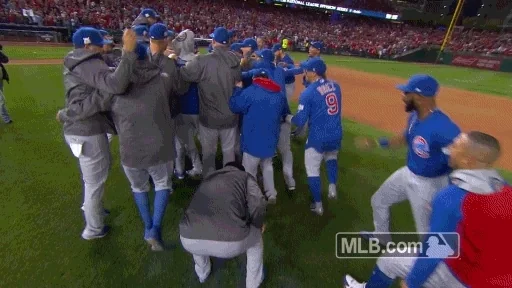 celebrate chicago cubs GIF