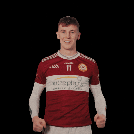 All-Ireland GIF by AIB
