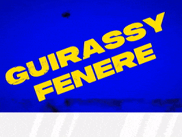 Serhou Guirassy GIF by Socinflu