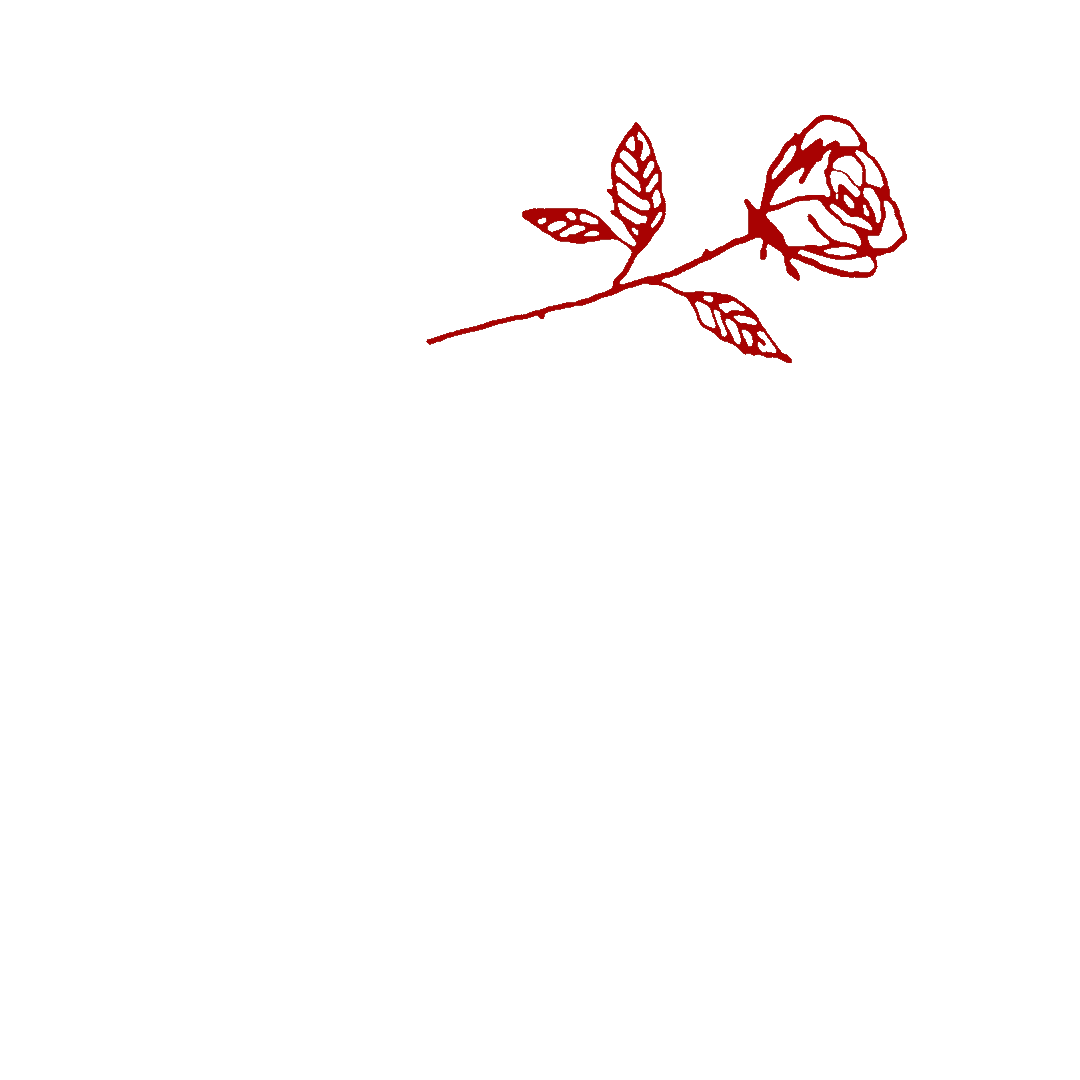 Sorry I Love You Sticker By Vacation Forever For Ios Android Giphy Sorry I Love You Sticker By Vacation Forever For Ios Android Giphy