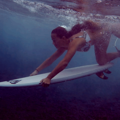 Surf GIF by ROXY - Find & Share on GIPHY