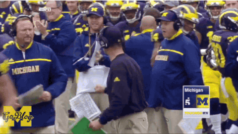 jim harbaugh