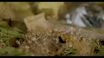 Arcane Creations GIF