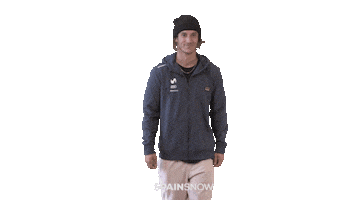 Freeski Fsk Sticker by spainsnow