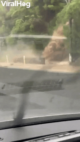Burst Half Pipe Causes Flooding On Road GIF by ViralHog