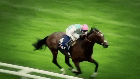 Running Rice Gif Race Gif