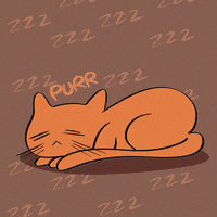 Tired Cat GIF by Kiokuart