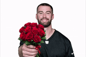 Steelers Dolphins GIF