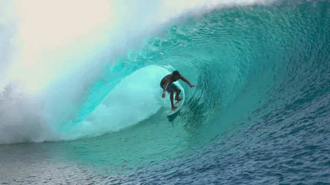 Surf GIFs - Get the best GIF on GIPHY