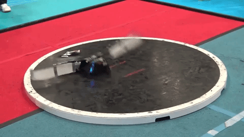 japanese sumo robots