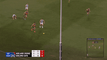 eddie betts football GIF by Adelaide Crows