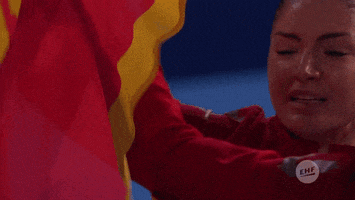 happiness flag GIF by EHF
