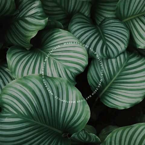 Masterpiece Newcycle GIF by Cervecería Nacional (Ab Inveb)