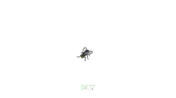Livforthemotion Sticker