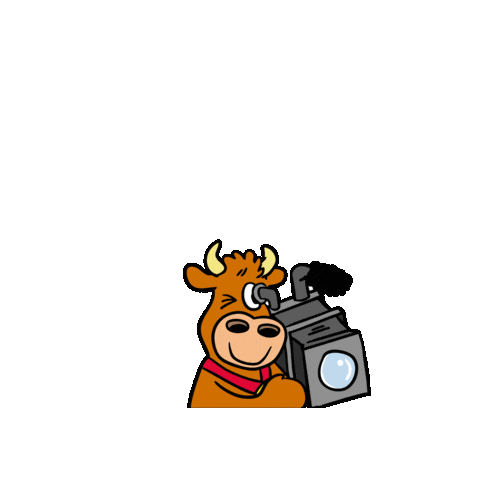 Camera Cow Sticker by Bauernhofurlaub.de