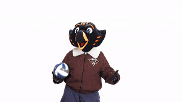 Volleyball Mascots GIF by utmartin