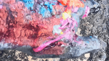 GIF by OAPEZE OFFICIAL COLLECTIBLES
