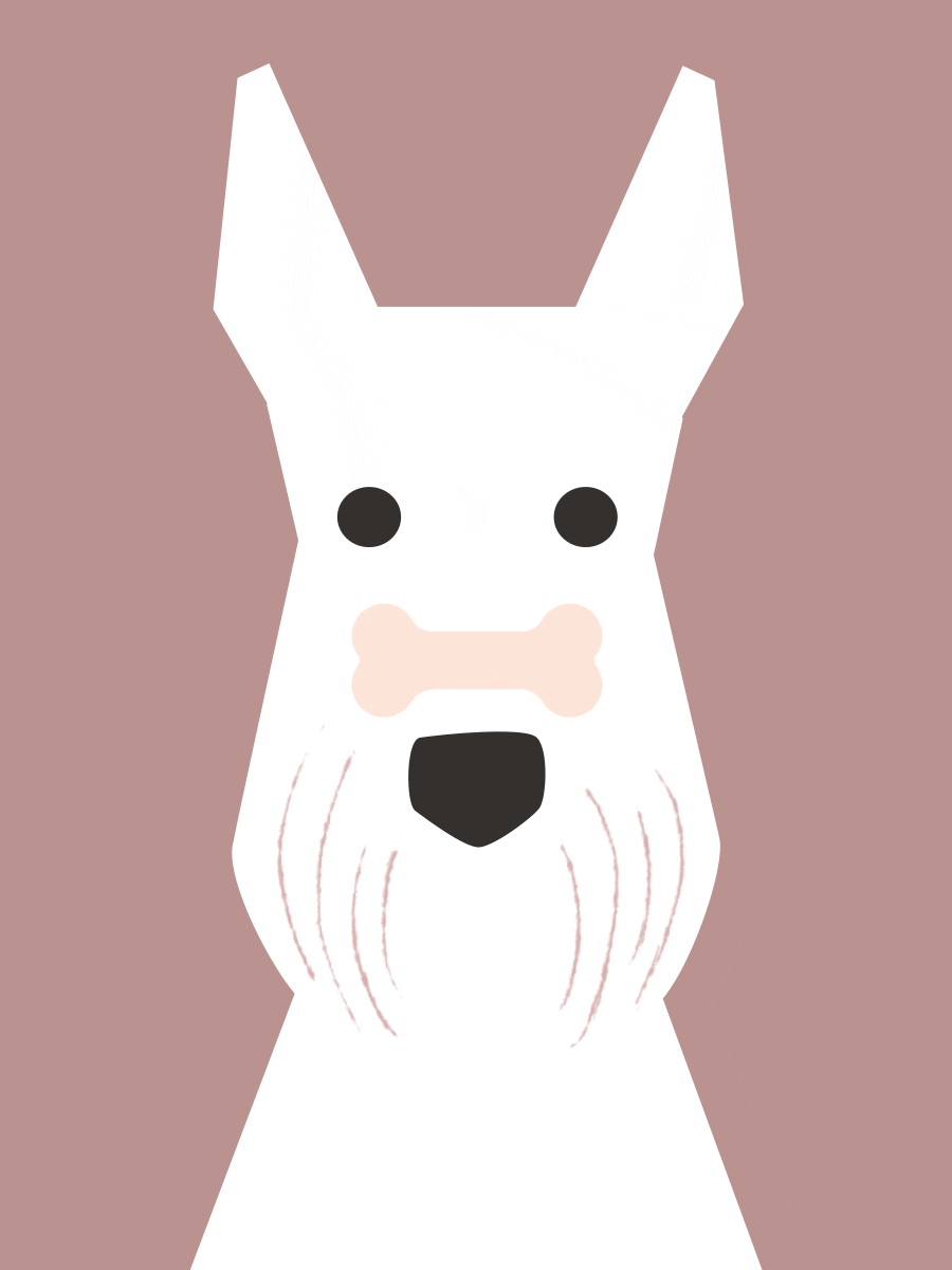 Dogcatchingbone GIFs Get the best GIF on GIPHY