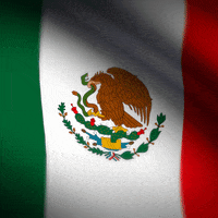 Mexican Flags GIFs - Get the best GIF on GIPHY