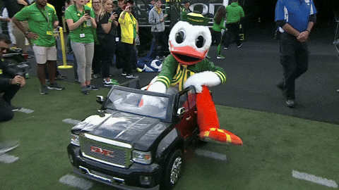 giphy.gif?cid=8fc3c8974530de5b9271595fe2