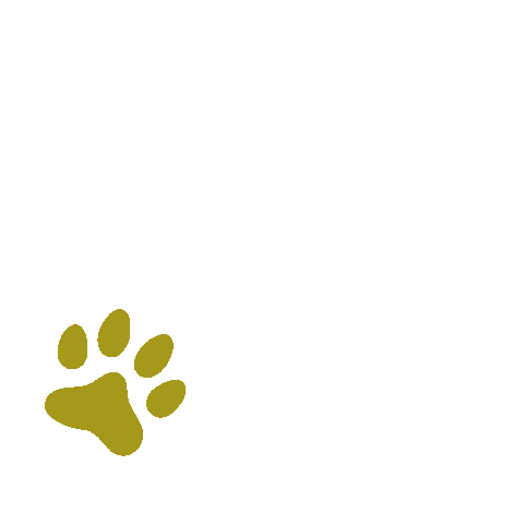 Paws Metabolic Sticker by KUNKAY