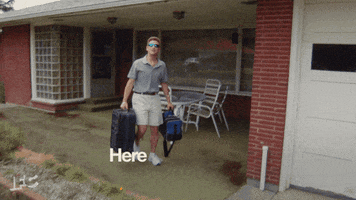 documentary now back to work GIF by IFC