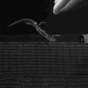 GIF by mjkahn