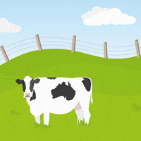 Vegan Cow GIF
