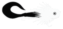 Blackbug Sticker by Blackbay fishing