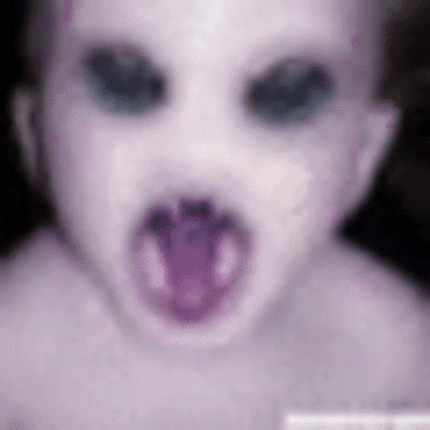 gogo  GIF