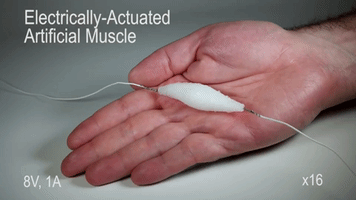 curiositydotcom  GIF