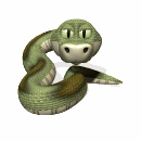 snakes