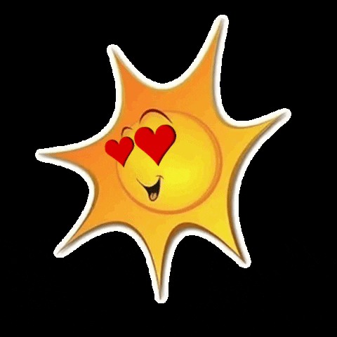 Beira amar Rio GIF